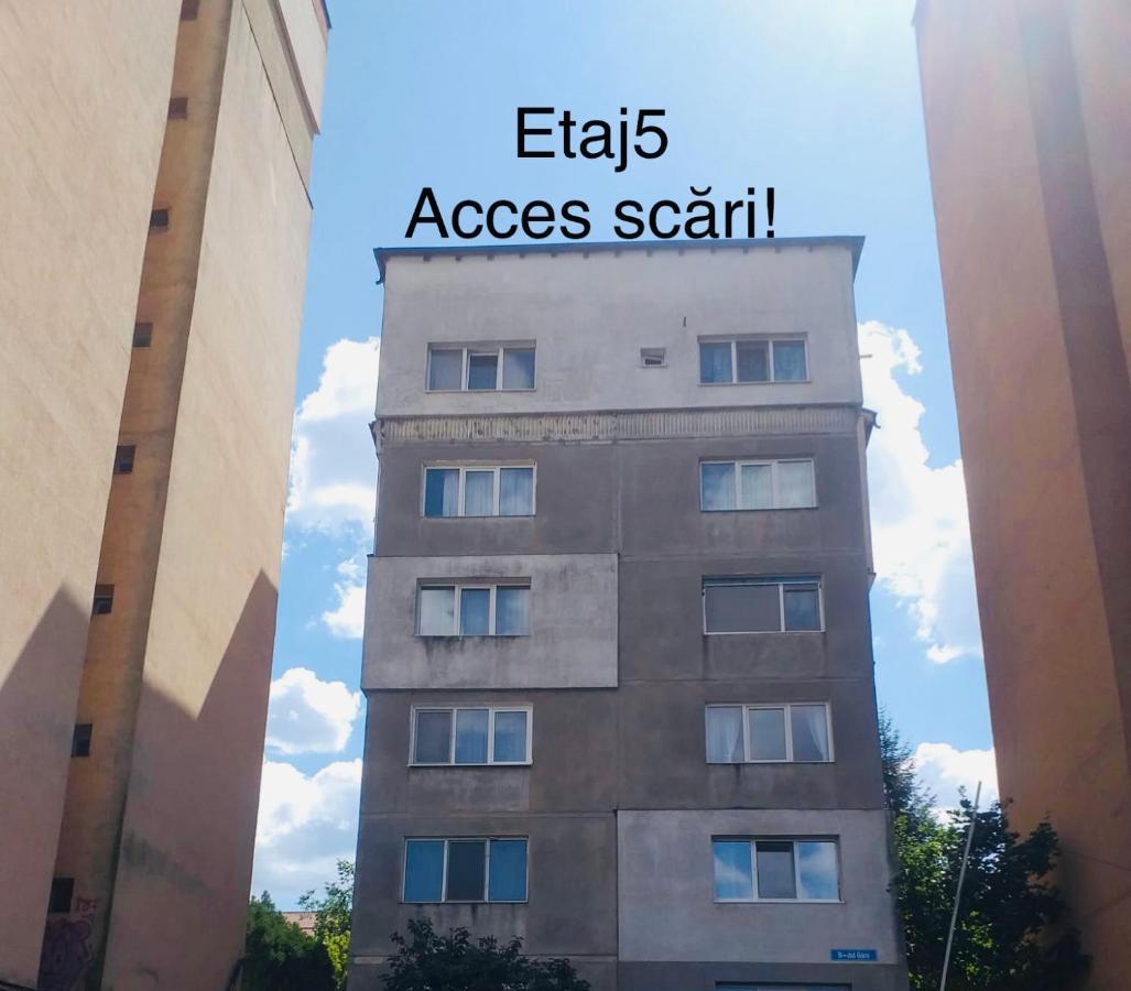 Zizi'S House Garii Apartment บราชอฟ ภายนอก รูปภาพ