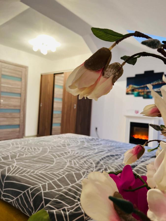 Zizi'S House Garii Apartment บราชอฟ ภายนอก รูปภาพ
