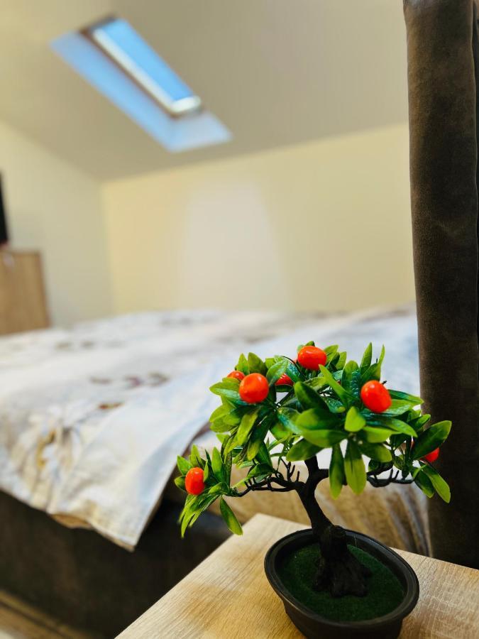 Zizi'S House Garii Apartment บราชอฟ ภายนอก รูปภาพ